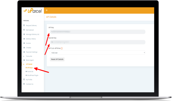 api-integration-laptop